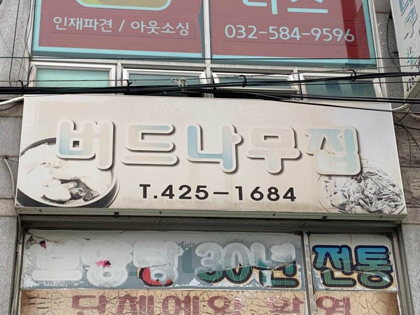 버드나무집